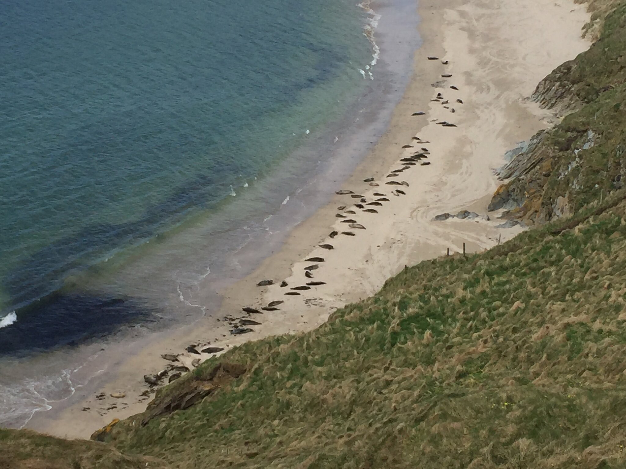 South Mainland Tour | Shetland Cruise