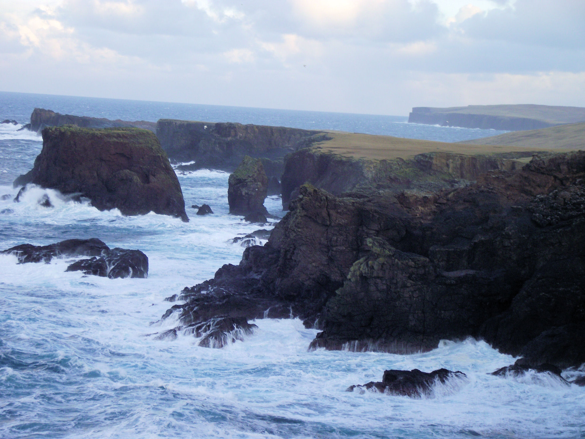 Shetland Nature Festival | Shetland.org