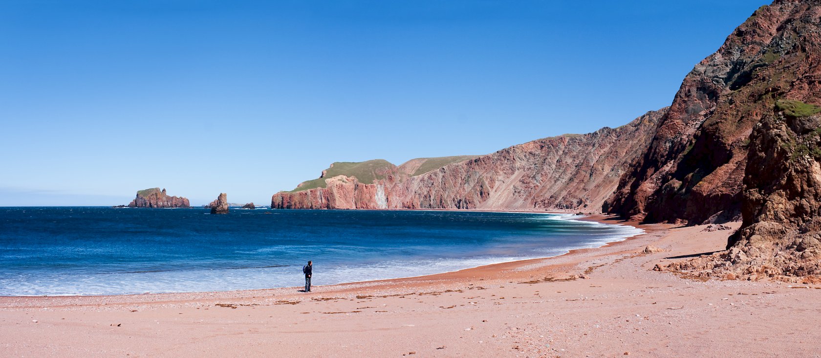 Beach Cliff- I like them. : r/CannedSardines